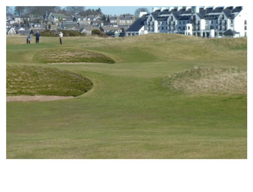 Bed and Breakfast Park House Carnoustie Exteriér fotografie
